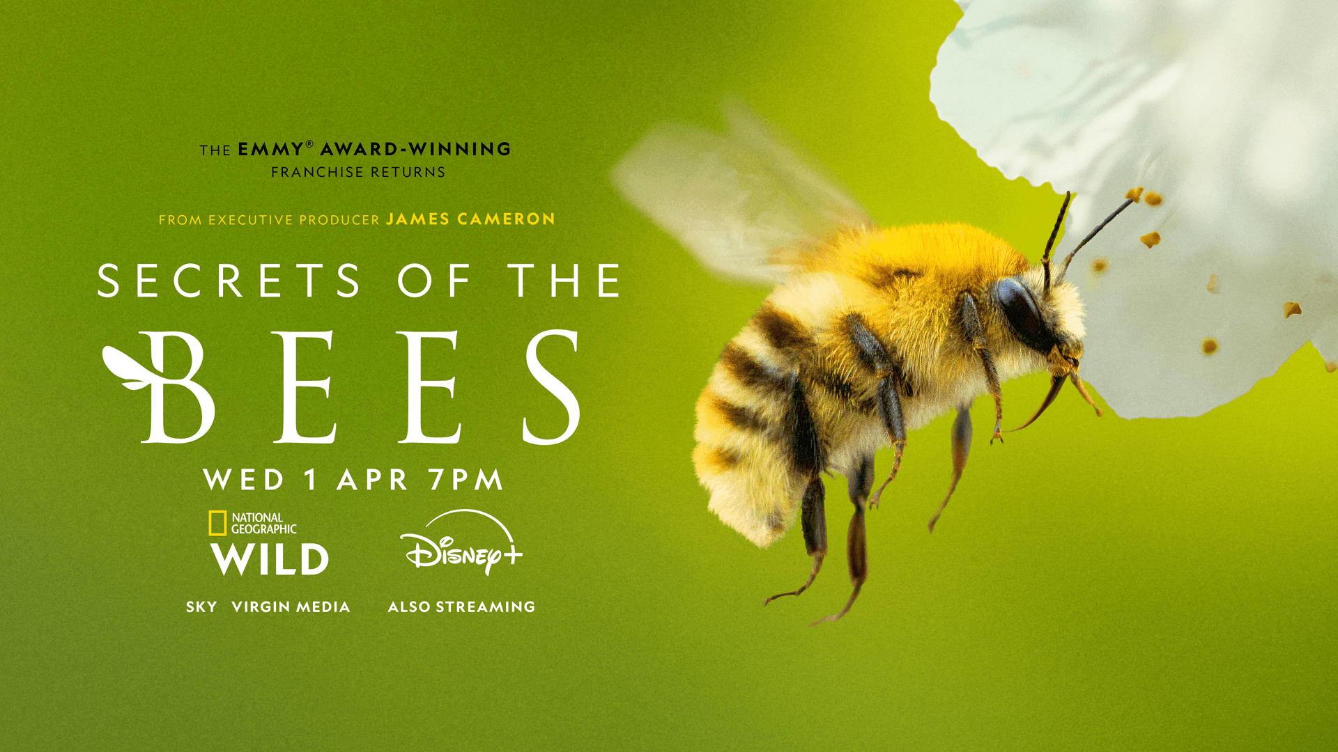 National Geographic’s Secrets of the Bees – Integrated PR Campaign