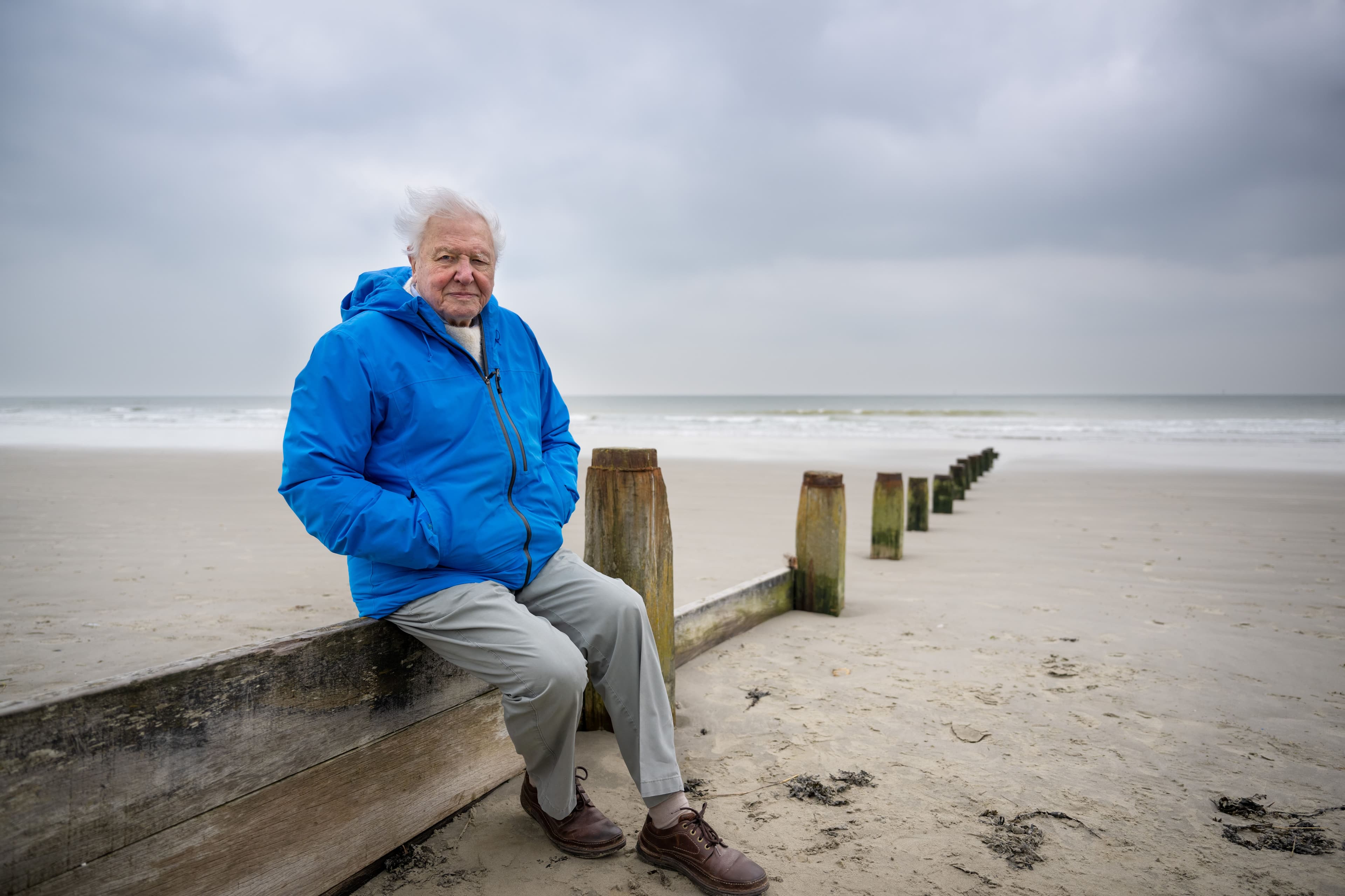 Ocean with David Attenborough, National Geographic, Disney+, MCPR, Mark Collins PR, National Geographic PR agency, celebrity PR, entertainment PR, Media Brands PR, London Entertainment PR agency