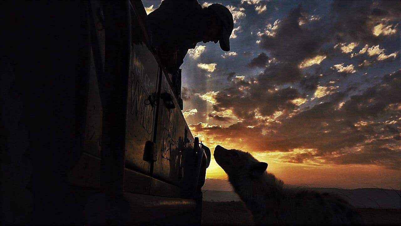 WildEarth launch on Freeview Channel 91, MCPR, entertainment PR, celebrity PR, media brands PR