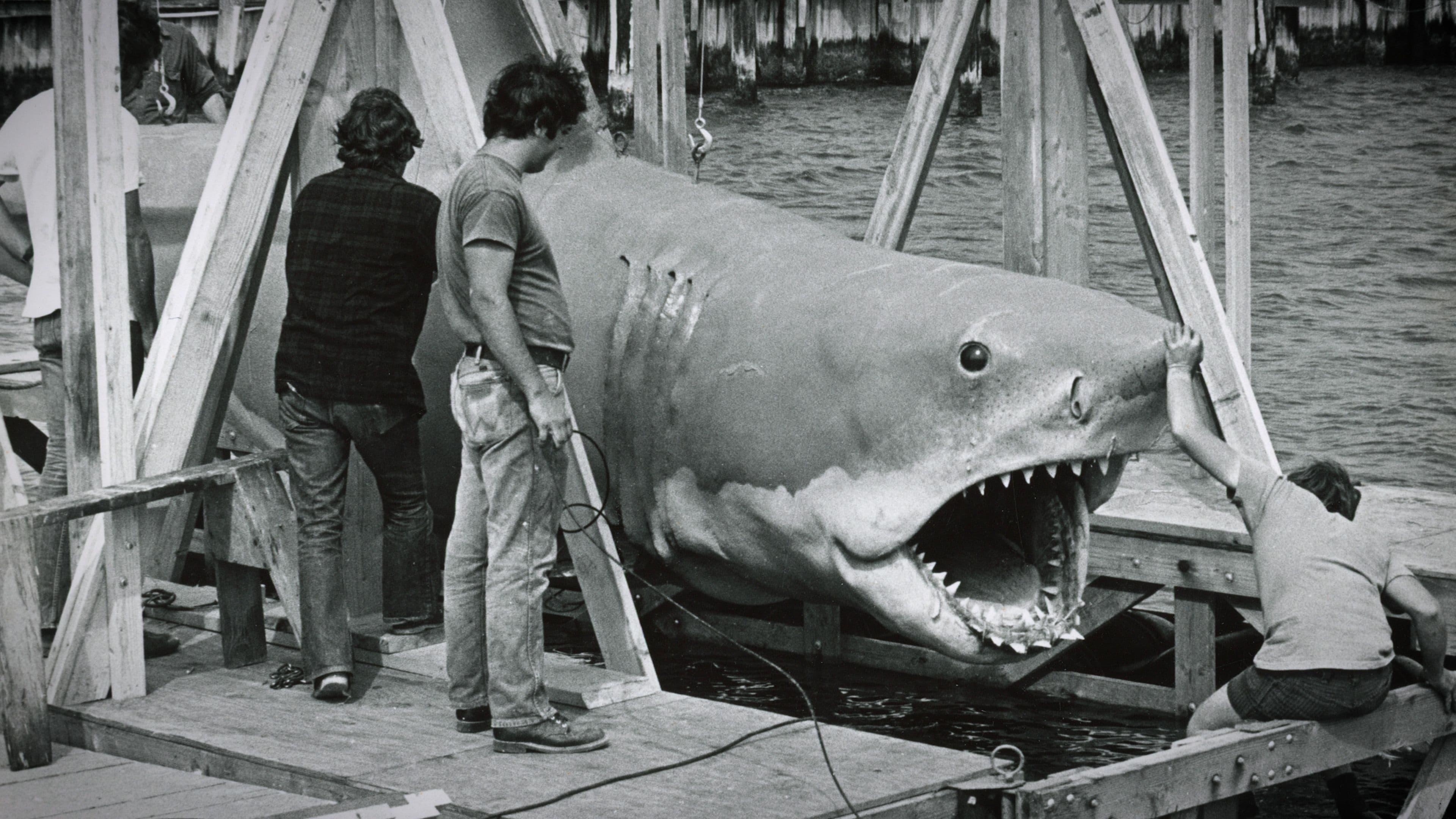 Jaws @ 50: The Definitive Inside Story, National Geographic, Disney+, MCPR, Mark Collins PR, National Geographic PR agency, celebrity PR, entertainment PR, Media Brands PR, London Entertainment PR agency